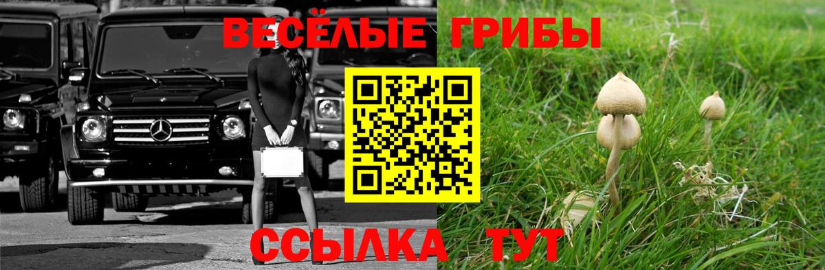 Галлюциногенные грибы мухоморы Балашиха