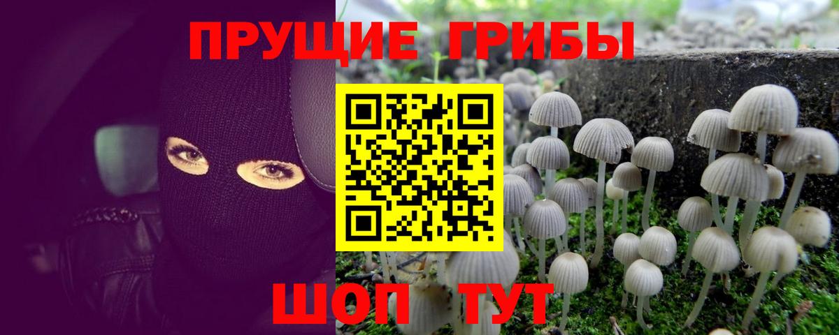 Балашиха  Галлюциногенные грибы MAGIC MUSHROOMS  Вход с VPN 